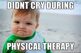 physical therapy is fun